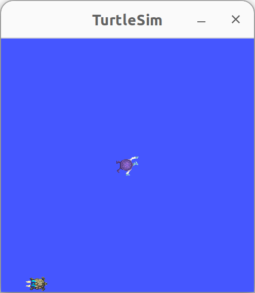 Turtle spawn